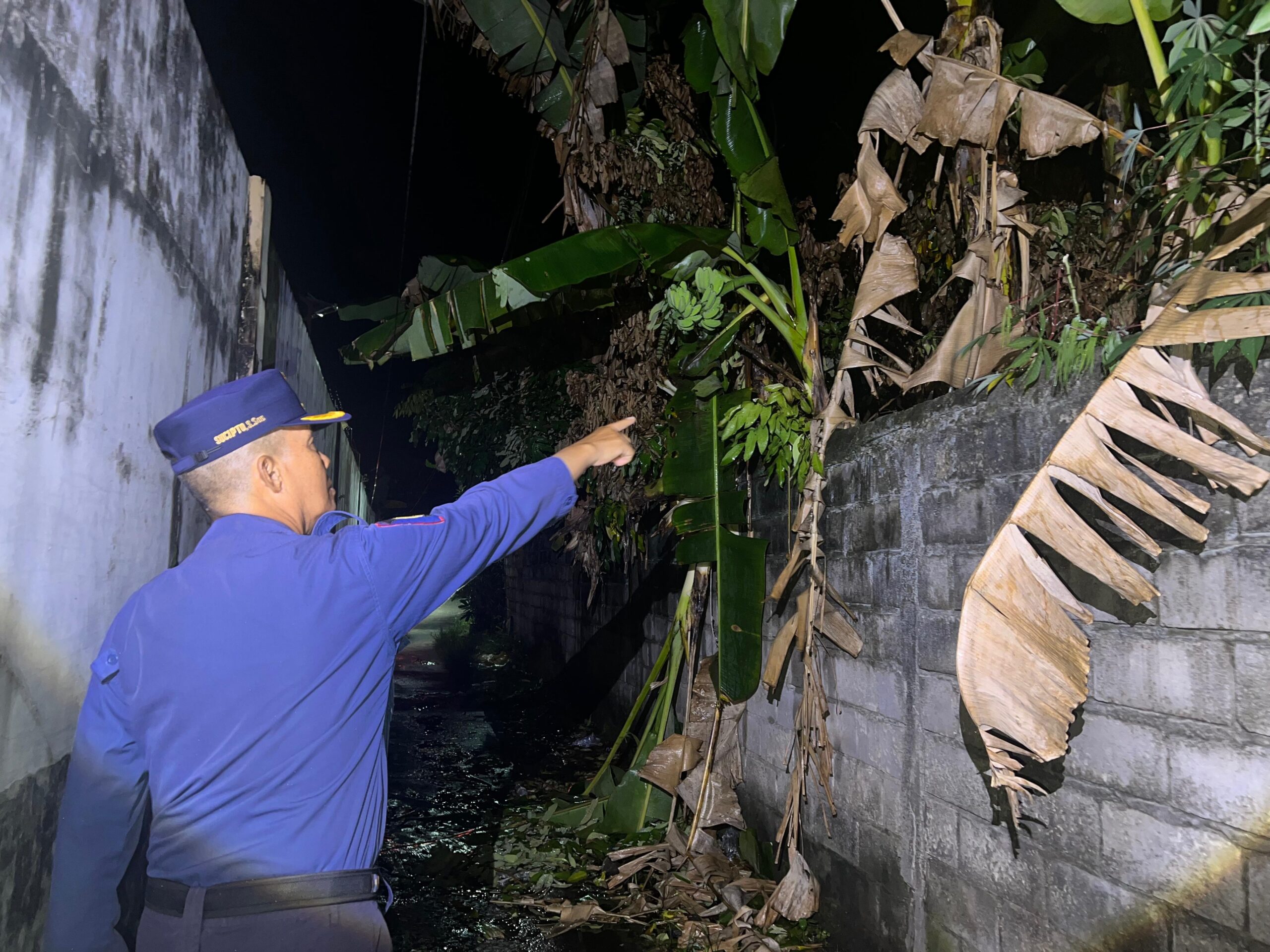 Pohon Pisang Terbakar, Diduga akibat Puntung Rokok