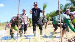Bupati Seruyan Tanam Padi Perdana di Panimba Raya