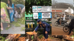 Angin Kencang, Pohon Tumbang, Atap Alfamart Terbang