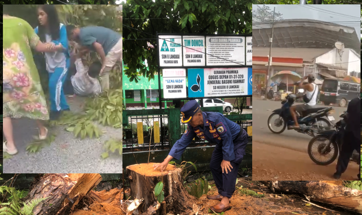 Angin Kencang, Pohon Tumbang, Atap Alfamart Terbang