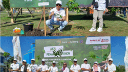 Bank Kalteng Tanam 1.000 Bibit Pohon untuk Pelestarian Lingkungan Bank Kalteng Tanam 1.000 Bibit Pohon untuk Pelestarian Lingkungan