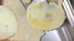 Viral Temuan Belatung di MBG SMPN 1 Sampit