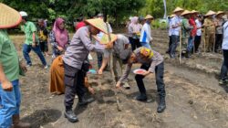 Polres Bartim Tanam Jagung Pakan di Murutuwu