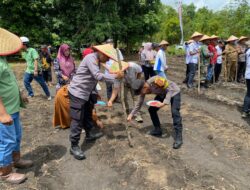Polres Bartim Tanam Jagung Pakan di Murutuwu