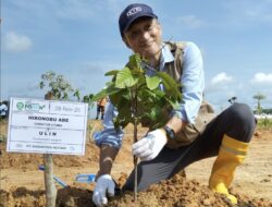 Hari Menanam Pohon Indonesia Tahun 2025-Dilahan 4,6 Hektar, PT KTH Tanam Bibit Kayu dan Buah Buahan 