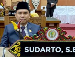 Sudarto: Kembalinya Fairid Energi Baru Pemko