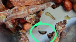 Ngeri! Ada Ulat di Menu MBG MTsN 1