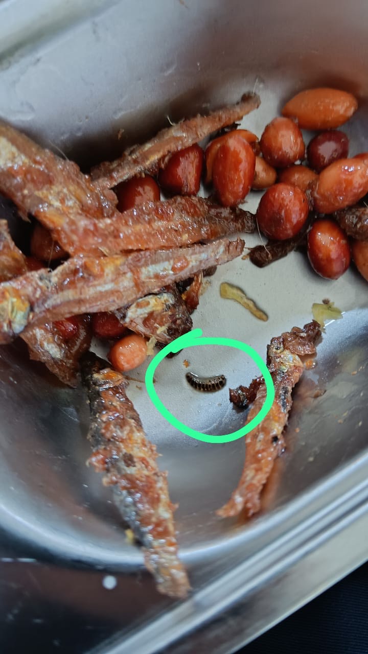 Ngeri! Ada Ulat di Menu MBG MTsN 1