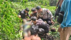 Tebang Pohon, Pria Ini Terjatuh dan Tertimpa Dahan Tebang Pohon, Pria Ini Terjatuh dan Tertimpa Dahan