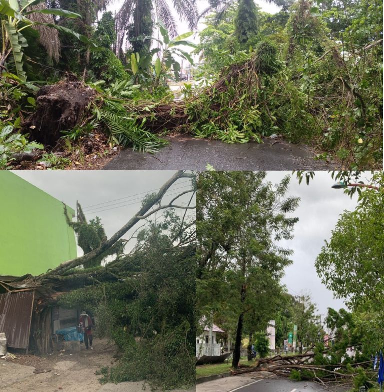 Angin Kencang, Sejumlah Pohon Tumbang Tutup Akses Jalan