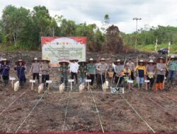 DPRD MURA Apresiasi Penanaman Jagung Serentak
