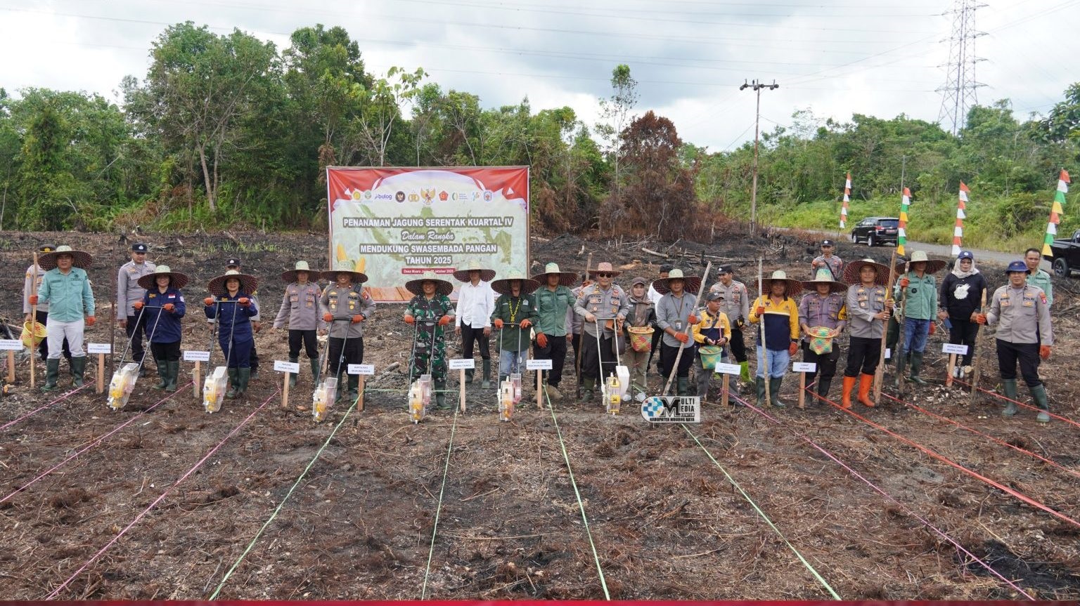 DPRD MURA Apresiasi Penanaman Jagung Serentak