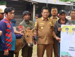 Bupati Selanorwanda Serahkan Hibah Ternak ke Kelompok Tani