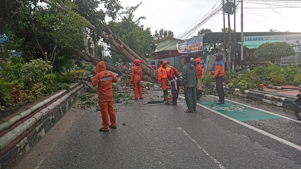 Kobar Dilanda Badai Angin, Pohon Tumbang dan Atap Rumah Berhamburan