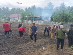 Polisi dan Petani Bersinergi Tanam Jagung di Desa Bangun Harja