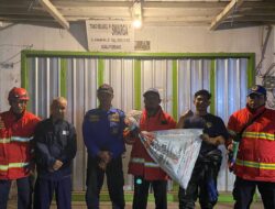 Damkar Seruyan Evakuasi Sarang Tawon di Kuala Pembuang