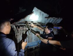 Piton 4 Meter Satroni Kandang Ayam Warga Tingang