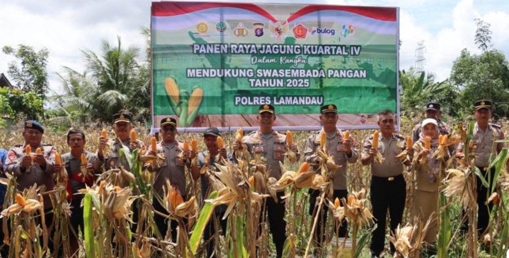 Dukung Swasembada Pangan 2025, Polres Lamandau Panen Raya Jagung