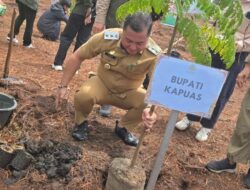 HARI PENANAMAN POHON INDONESIA-Wabup Dodo Tanam Pohon di Mantangai