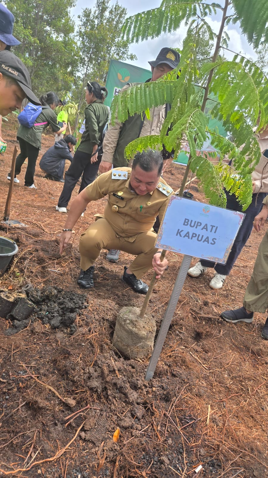 HARI PENANAMAN POHON INDONESIA-Wabup Dodo Tanam Pohon di Mantangai