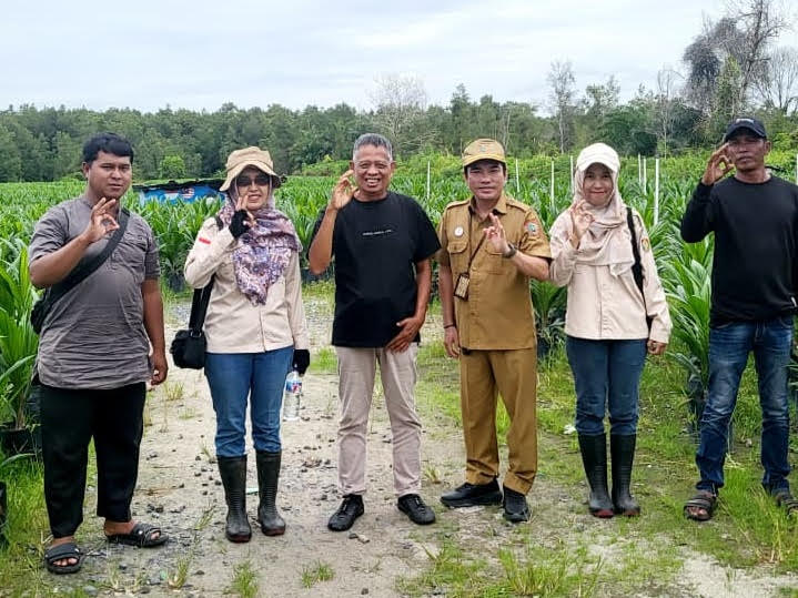 Disbun Kalteng Terapkan Standar Kepmen Pertanian Terbaru dalam Sertifikasi Benih Sawit
