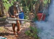 8 Warga Kalampangan Terjangkit DBD, Dinkes Perkuat Pengendalian