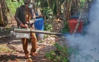 8 Warga Kalampangan Terjangkit DBD, Dinkes Perkuat Pengendalian