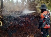13 Karhutla di Palangka Raya Selama Januari