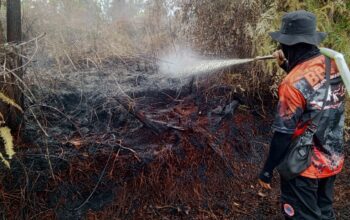 13 Karhutla di Palangka Raya Selama Januari 13 Karhutla di Palangka Raya Selama Januari