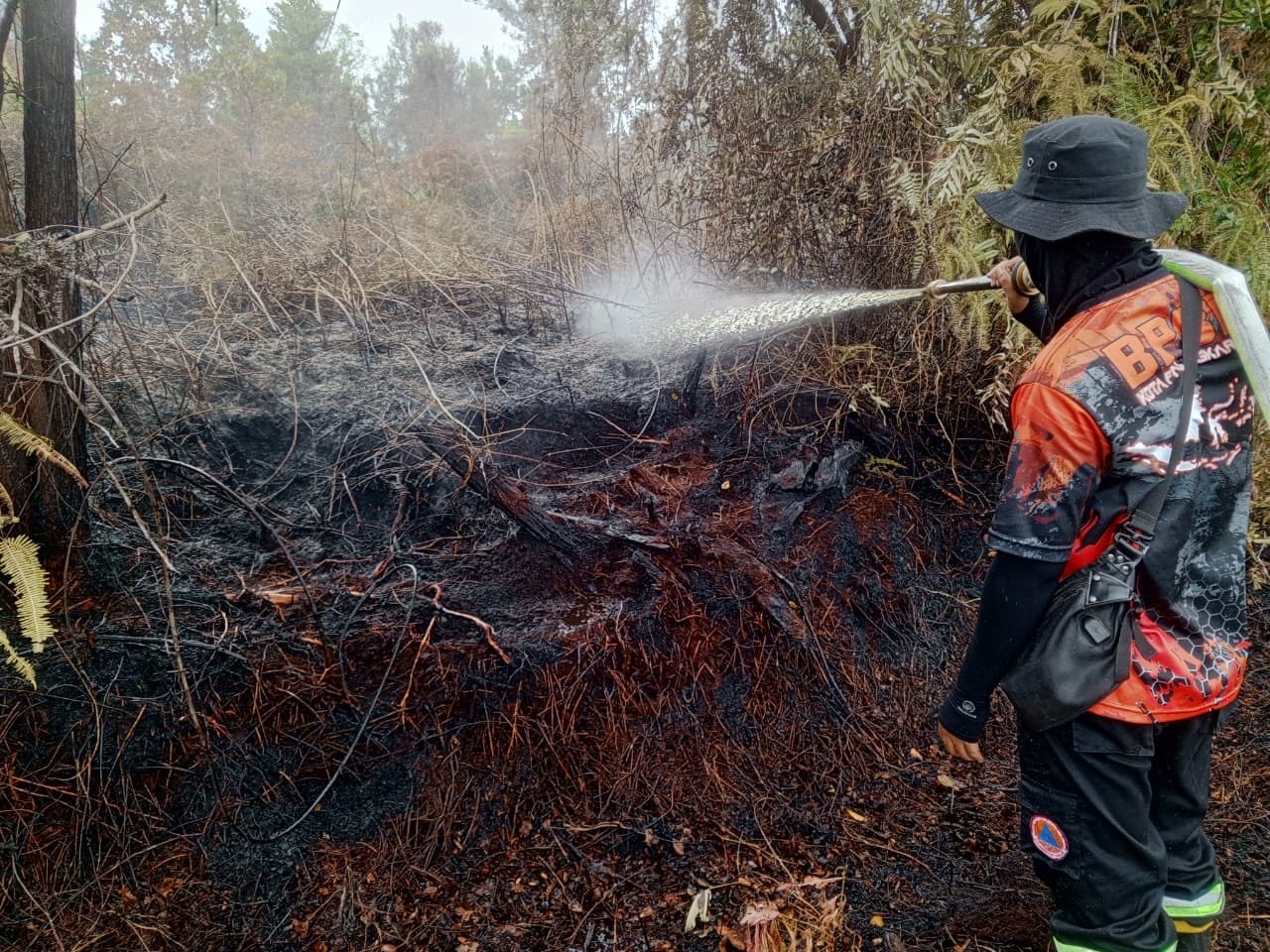 13 Karhutla di Palangka Raya Selama Januari