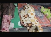 3 Penambang Tanpa Izin Gumas Tewas Tertimbun Longsor