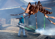 Kobar dan Palangka Raya Tertinggi Kasus DBD 2025