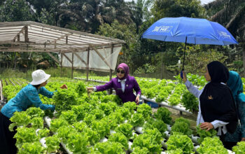 KUNJUNGI KE SEMATU JAYA-Ketua TP-PKK Lamandau Ajak Warga Manfaatkan Lahan Pekarangan 