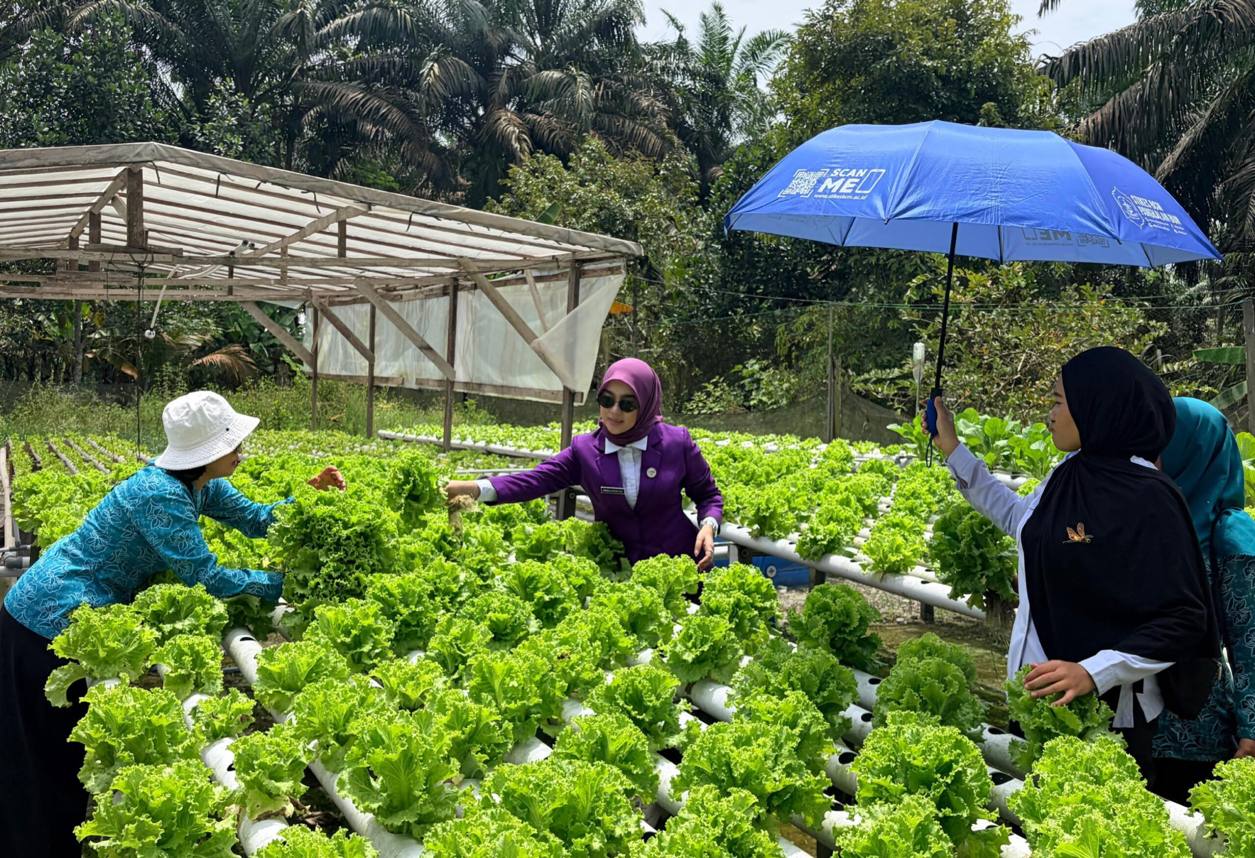 KUNJUNGI KE SEMATU JAYA-Ketua TP-PKK Lamandau Ajak Warga Manfaatkan Lahan Pekarangan 