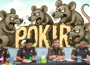 Dana Pokir Rp16 M Sejumlah Oknum Anggota Dewan Barut Bermasalah? Kasus Pengadaan Ternak Naik Penyidikan