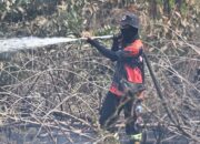 BPBD Palangka Raya Tangani 21 Karhutla di 3 Pekan Terakhir