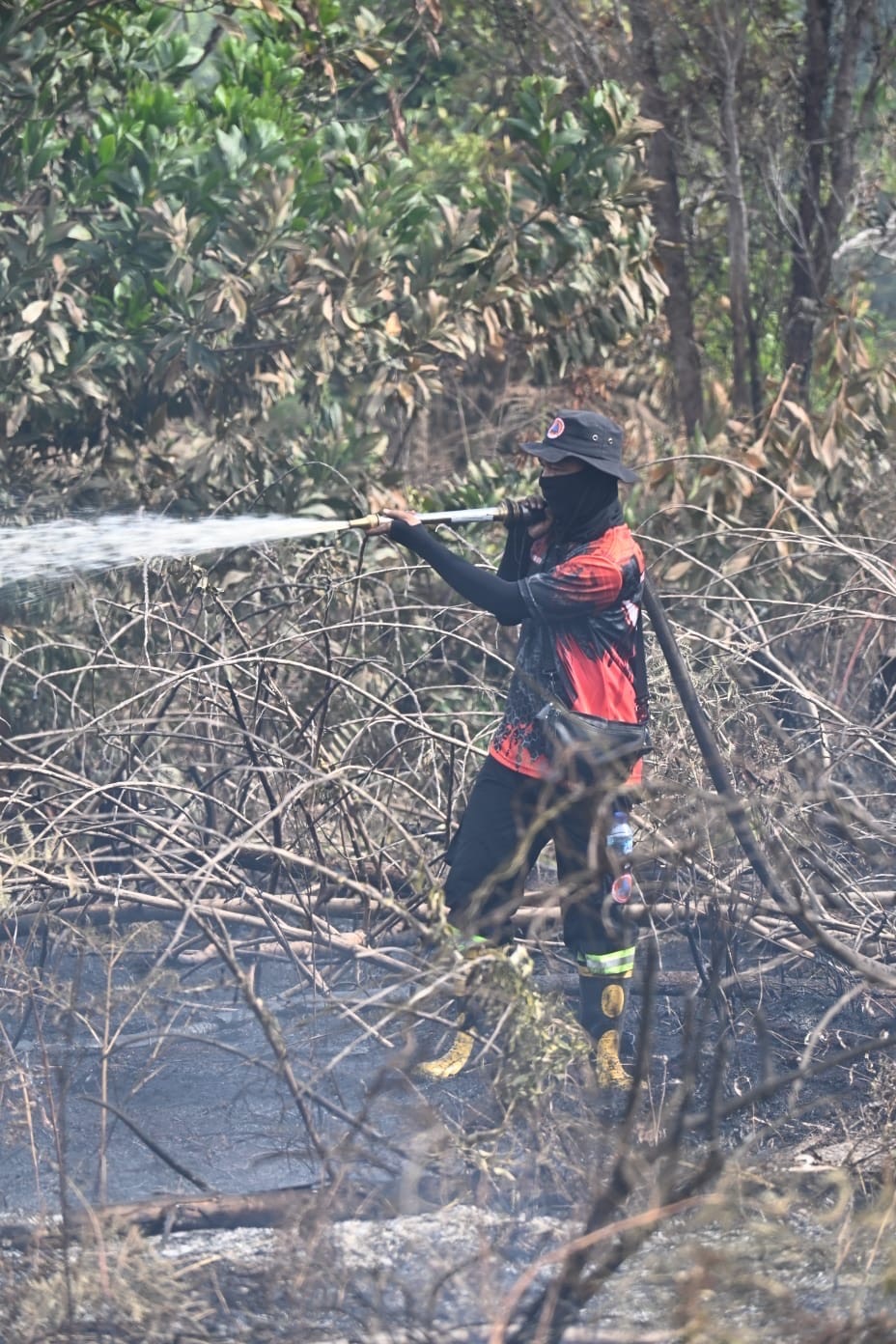 BPBD Palangka Raya Tangani 21 Karhutla di 3 Pekan Terakhir