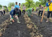 Polsek Pahandut Optimalkan Lahan Kosong