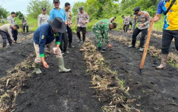 Polsek Pahandut Optimalkan Lahan Kosong