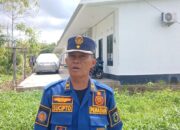 Cuaca Ekstrem, Damkar Ingatkan Ancaman Pohon Tumbang