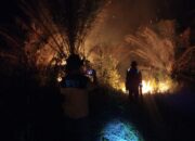 Kobar Alami 25 Karhutla Sepanjang Januari