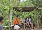 Tim SAR Gabungan Temukan Israni Yang Hilang di Hutan Desa Sabuh Barut