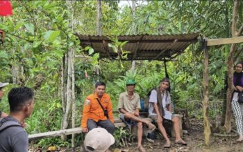 Tim SAR Gabungan Temukan Israni Yang Hilang di Hutan Desa Sabuh Barut Tim SAR Gabungan Temukan Israni Yang Hilang di Hutan Desa Sabuh Barut