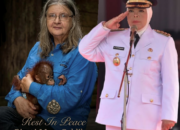 Pejuang Konservasi Orangutan Prof Birute Tutup Usia 