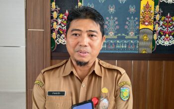 CPNS Pemko 2026 Masih Abu-abu