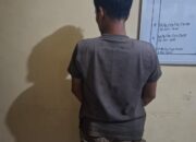 Polsek Antang Kalang Tangkap “Ninja” Sawit di Kebun PT LMS