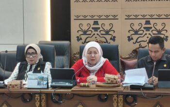 DPRD Barut Gelar RDP dengan DLH Terkait Raperda Sampah