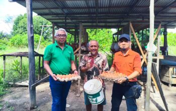 PELATIHAN PT KKP-Poktan Desa Tangar Olah Pakan Ayam Petelur