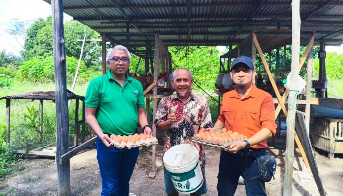 PELATIHAN PT KKP-Poktan Desa Tangar Olah Pakan Ayam Petelur