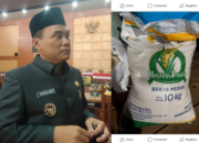 Bantuan Pangan Dijual Lagi? Wawali: Di Luar Kewenangan